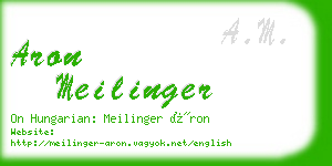 aron meilinger business card
